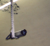 another one of our cameras