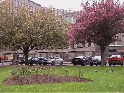 Bristol TV licencing office